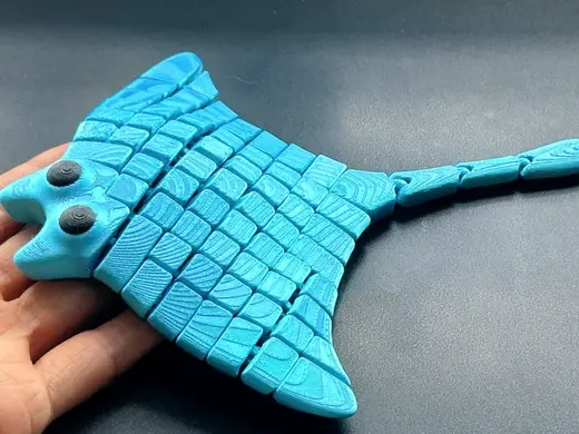 cute flexi manta ray -可爱魔鬼鱼