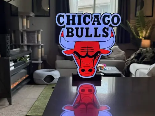 Chicago Bulls LED Light Box