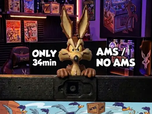 Coyote compañero de monitor