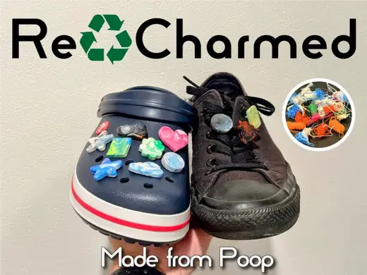 ReCharmed (Molds For Shoe Charm)