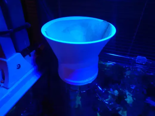 Filter Holder for Dinoflagellates (Aquarium)