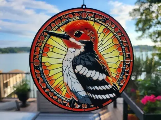 HueForge Stained Glass Redheaded Woodpecker