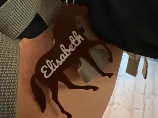 Elisabeths Horse Batch