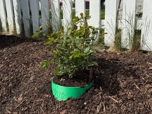Sloped Garden Planter Ring – Plant Horizontally