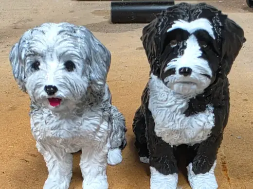Tibetan Terrier
