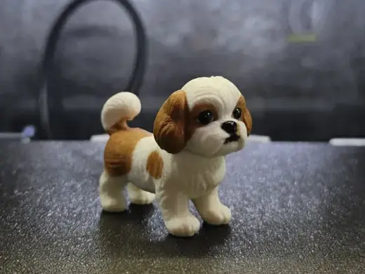 Shih Tzu stehend Hund 1 von 5 Varianten