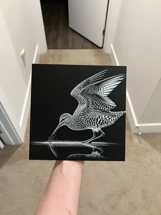 Curlew Art Hueforge