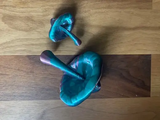 Typical Mushroom Fridge Magnet