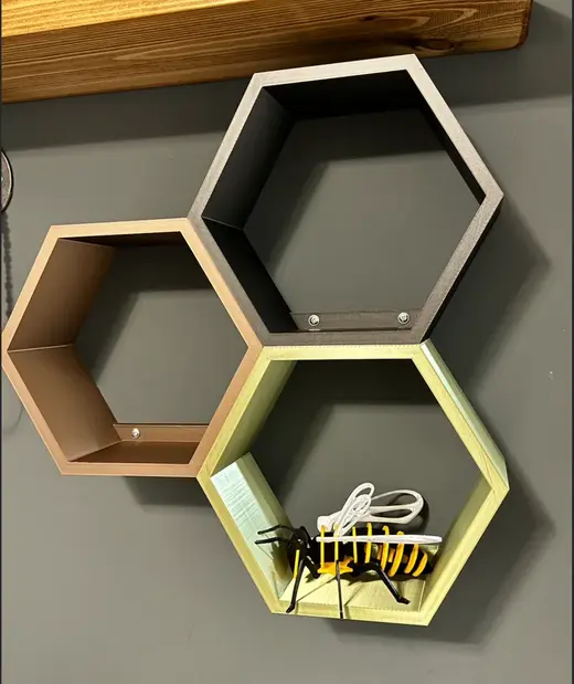 Honeycomb Shelves (Locked with keys)