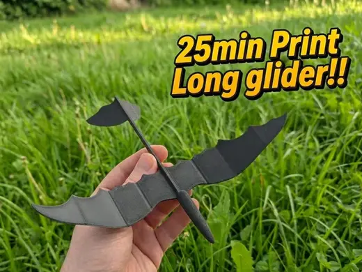 Aerodynamischer lang-Gleiter mit Wellenflügeln