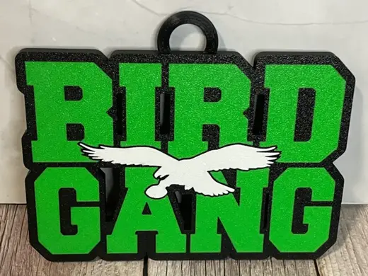Philadelphia Eagles Bird Gang