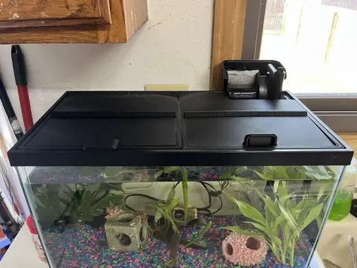 10 gallon hinged fish tank cover