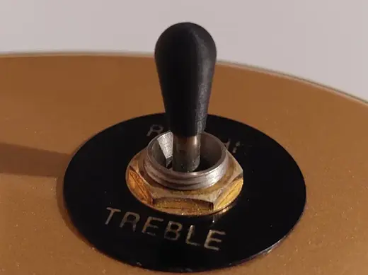 Les Paul toggle switch cover, with generator