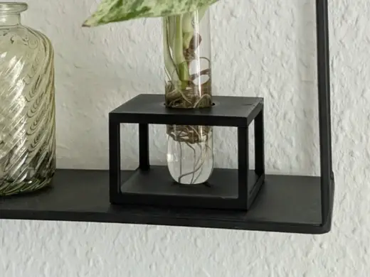 Industrial Style Plant Propagation Holder