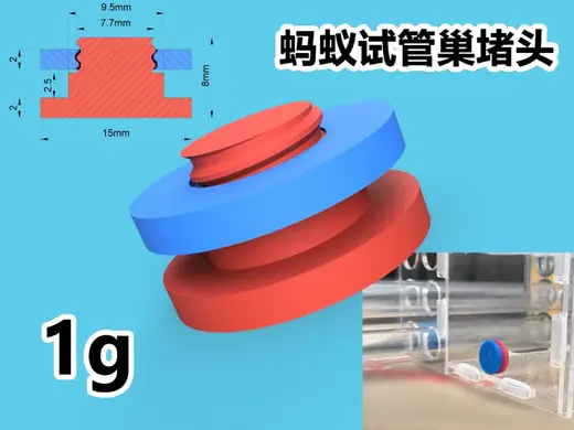 拓展口堵头,蚂蚁亚克力615/618试管巢连接孔塞子,1cm/10mm螺丝