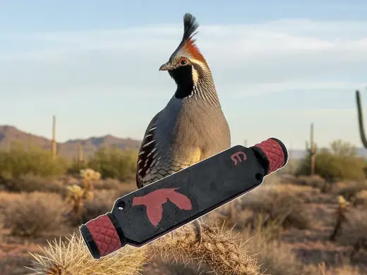 Valley Quail & Gambel's Quail call
