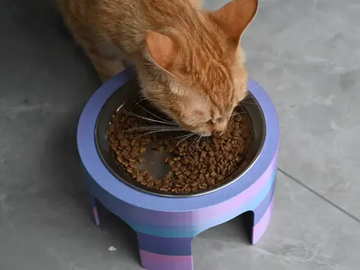 猫碗不锈钢增高架