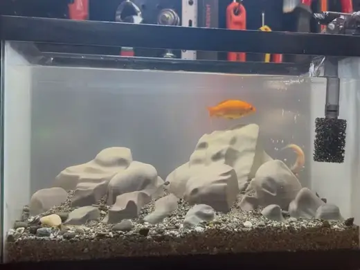 Fish tank Rock Aquascape decoration