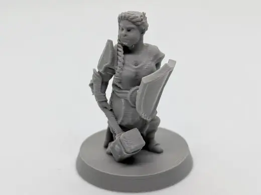 Female dwarf cleric FDM supportless