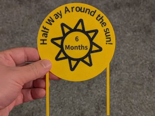Half Way Around the Sun Cake Topper (6 months)