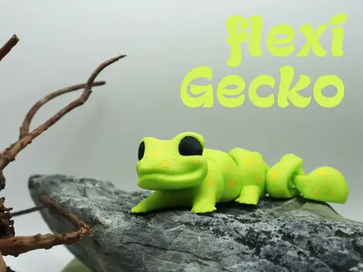 Flexi Gecko