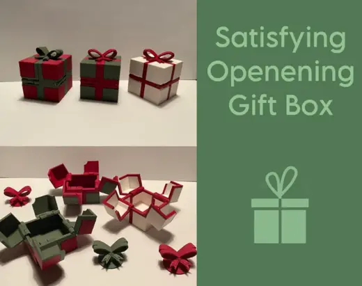 Satisfying Opening Gift Box (4 styles)