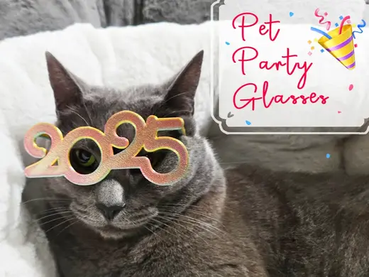 Pet Party Glasses - 2025 New Year Version