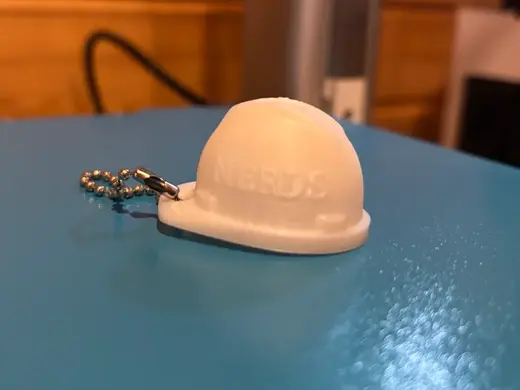 FTC 9960 N.E.R.D.S. Hard Hat Charm