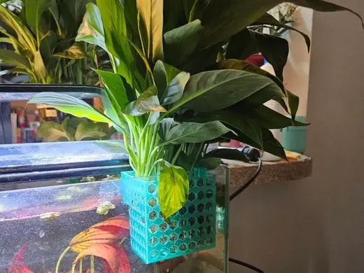 Rimless Aquarium Plant Holder