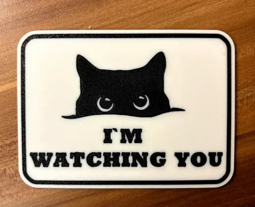 Funny Cat I am watching you Sign