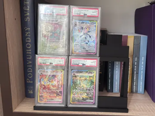 Minimalist 6-Card PSA Stand (Bumper & Standard)