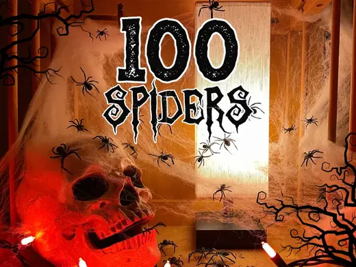 100 Spiders