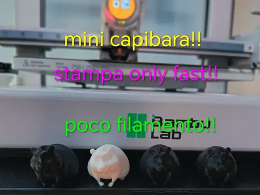 mini capibara piccolo