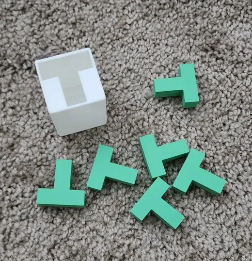 T Puzzle