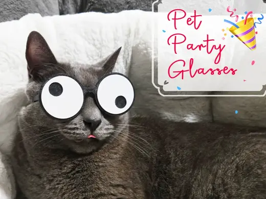 Funny Glasses for Pets - Googly Eyes