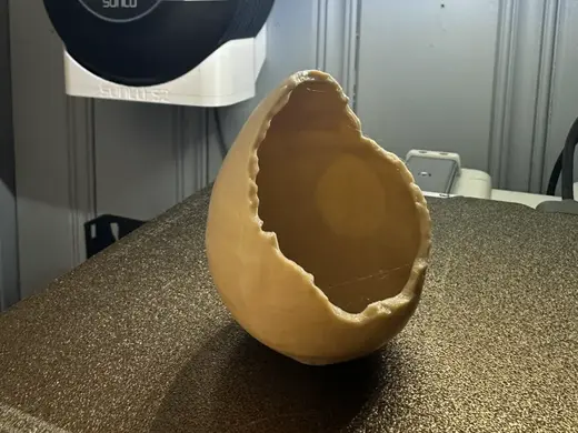 Dinosaur Egg Fossil (Hatched)