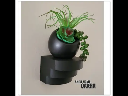 Contemporary Floating Shelf - Oakra
