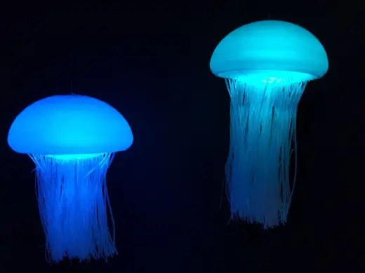 Jellyfish with remote control LED light