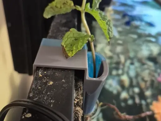 Tank Plant Holder