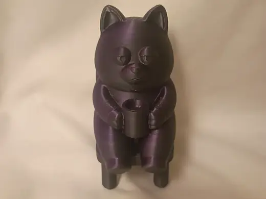 Friday The Fried Feline