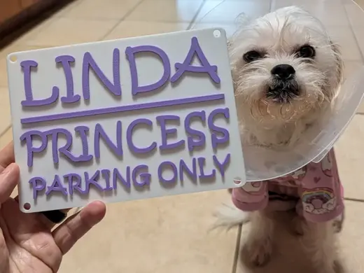 Customizable & Scalable Door Sign Princess Parking