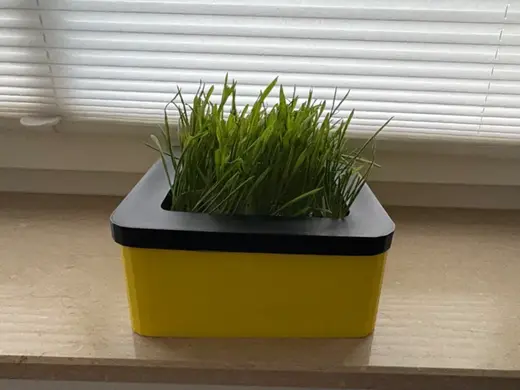 Cat Grass Planter V1