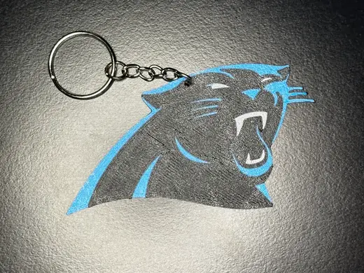 Carolina Panthers