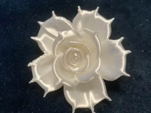 尖刺小花