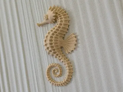 Seahorse Wall Decor