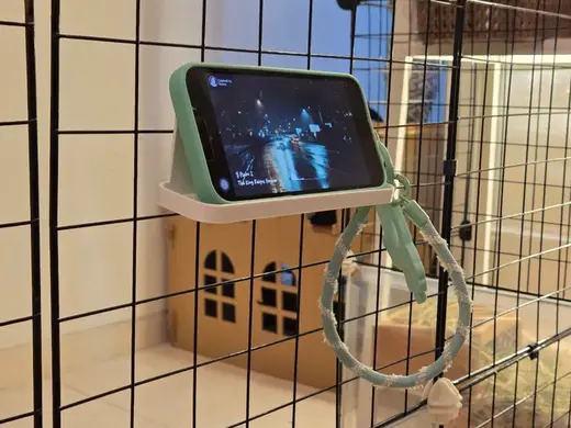 Phone Holder for Wire Cage / Pet Cage