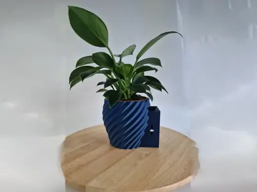 Aqua Level – Self-Watering Planter with Indicator