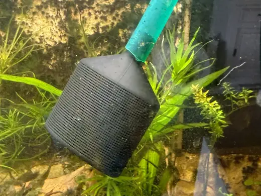 Large Eheim Filter Inlet Shrimp Safe 16/22