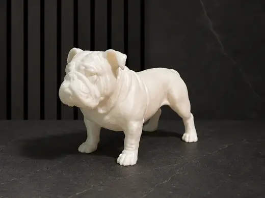 English Bulldog - Animal - Dog