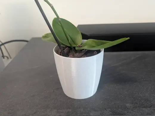 Wasserdichter Blumentopf (Parametrisch)